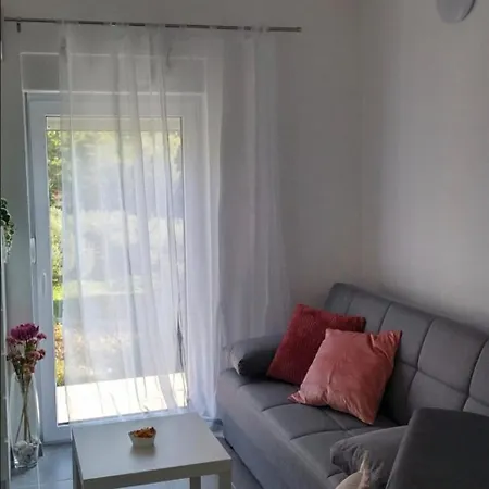 Apartment Milicevic *